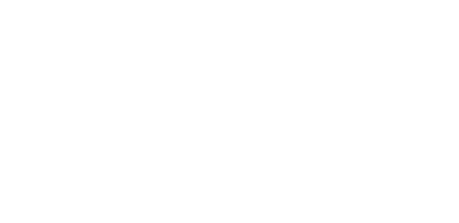 white logo opalimpact